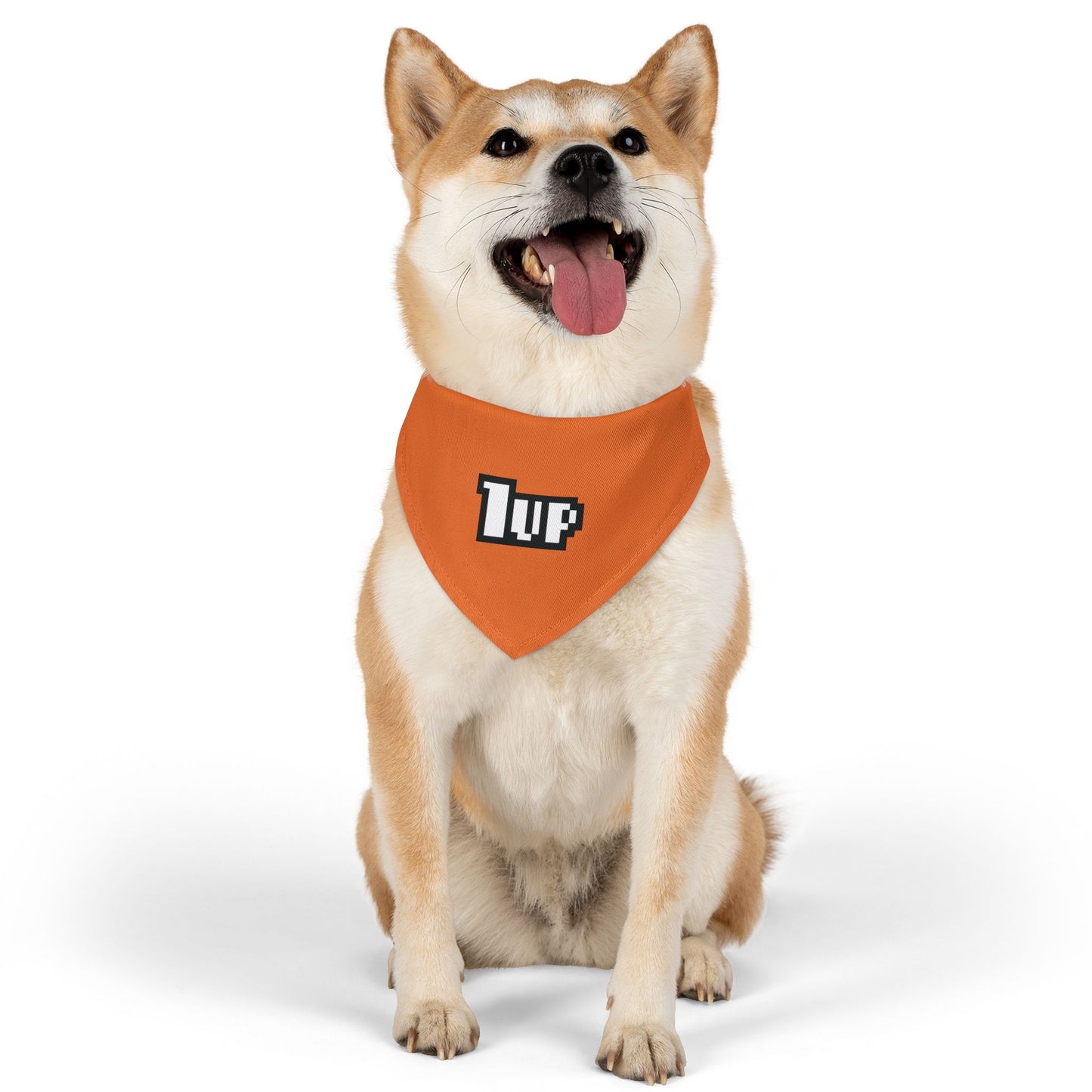 1UP THE COMPETITION. Pet Bandana Collar