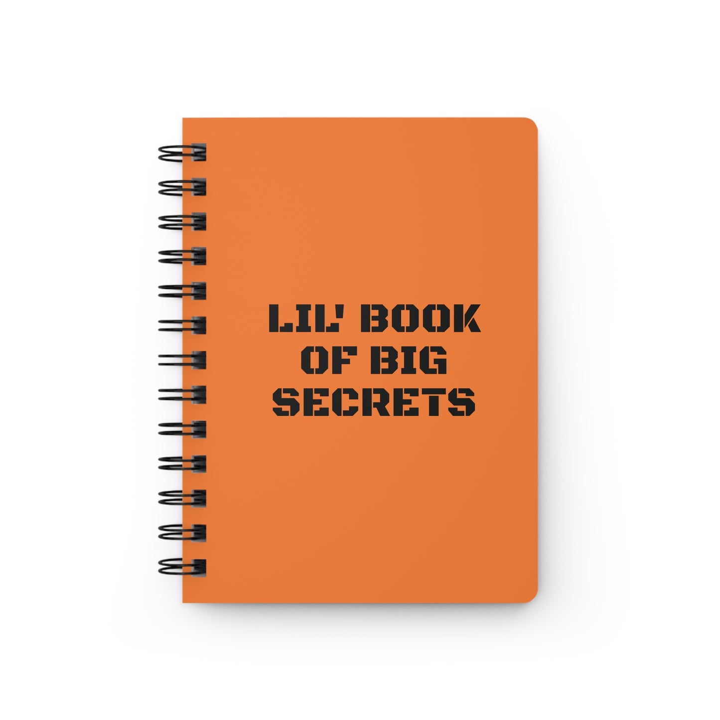 LIL' BOOK OF BIG SECRETS. Spiral Bound Journal