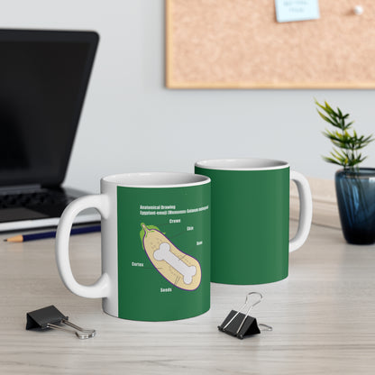 ANATOMY OF EGGPLANT. Mug 11oz