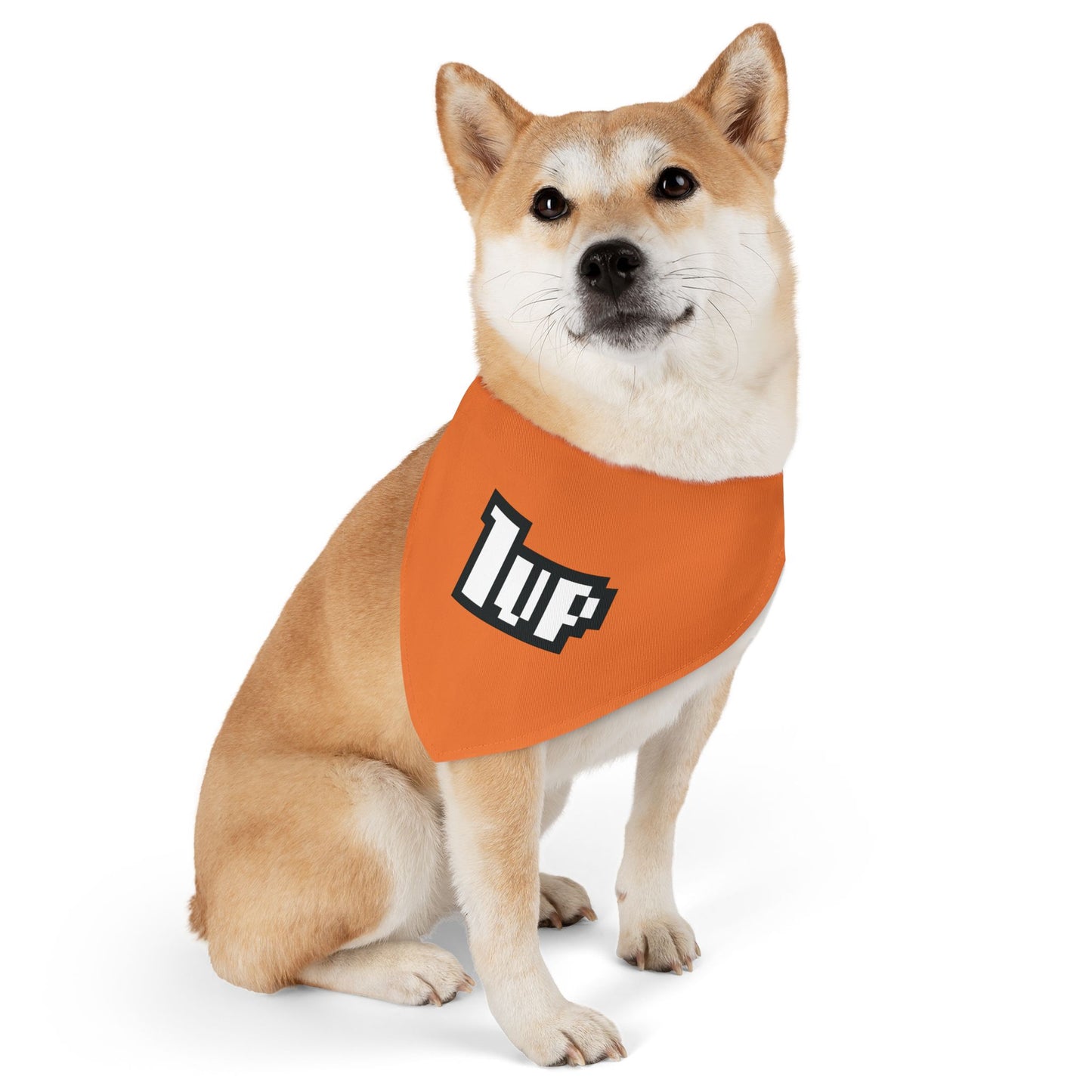 1UP THE COMPETITION. Pet Bandana Collar