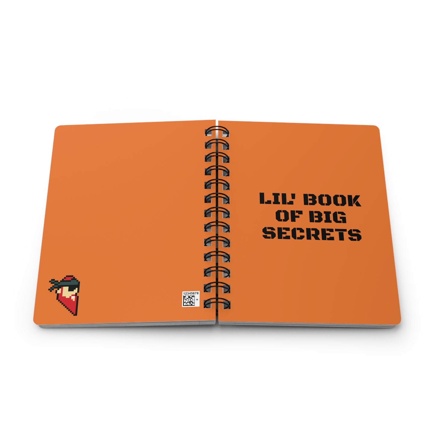 LIL' BOOK OF BIG SECRETS. Spiral Bound Journal